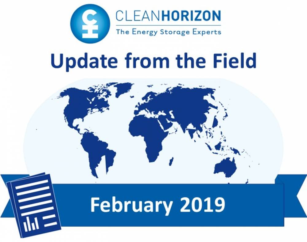 Update From The Field February 2019 : Country forecast for energy storage in 2019