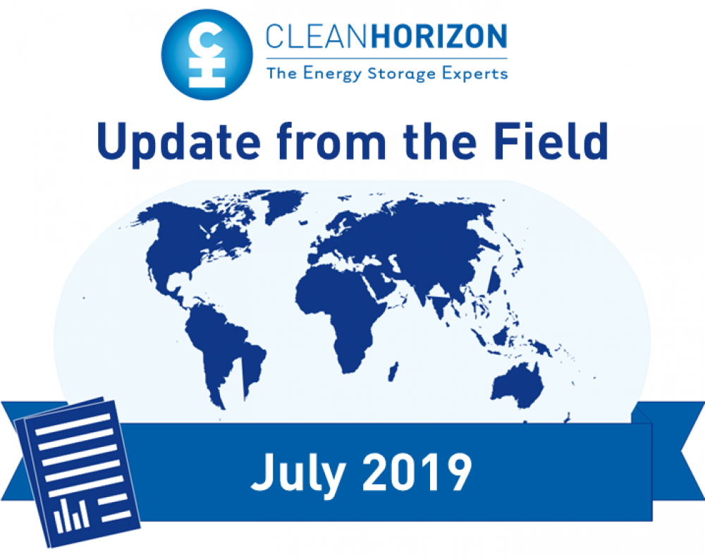 Update From The Field July 2019: Development Finance Institutions and energy storage